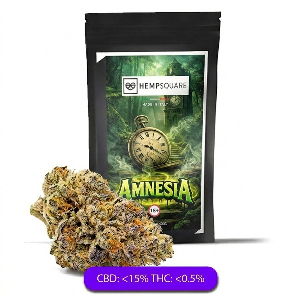 Amnesia