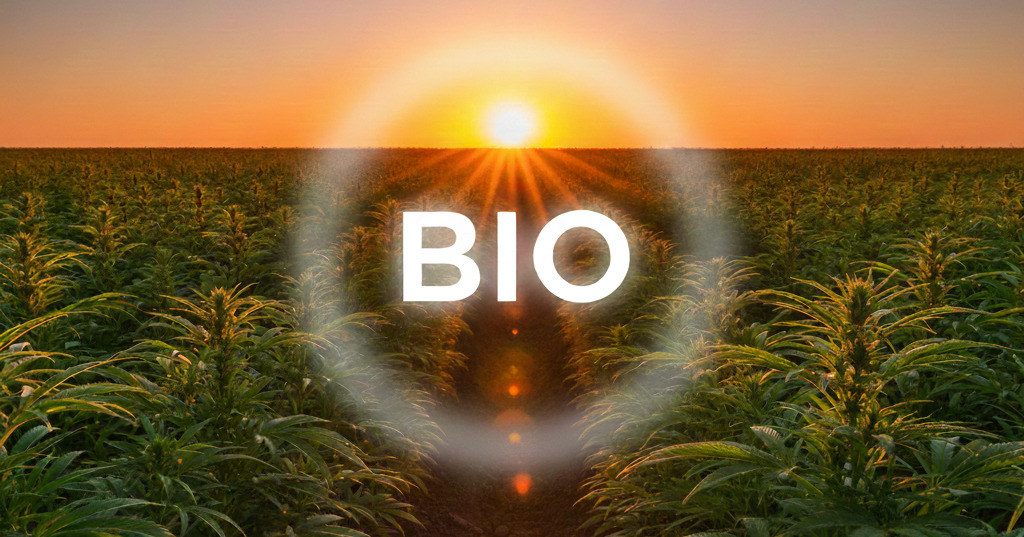 Dal Seme al Benessere: Perché il CBD Biologico è la Tua Scelta Migliore