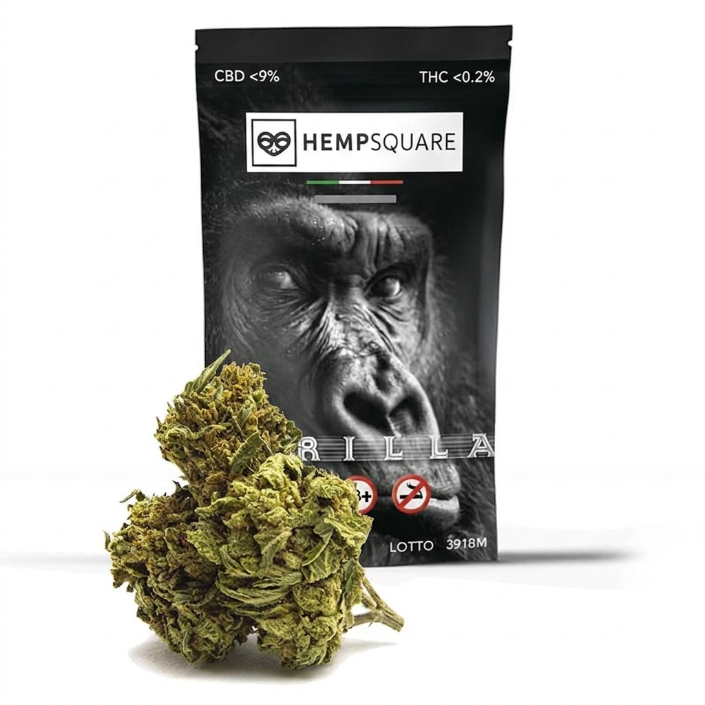 Gorilla